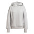 Sudadera adidas All Szn Fleece Loose ie Mujer Gris