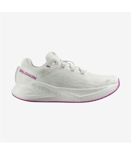 Zapatillas de Trail Salomon Aero Glide 3...