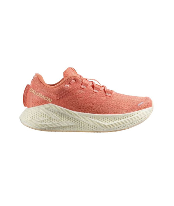 Zapatillas de Trail Salomon Aero Glide 3 Mujer...