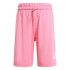 Conjunto adidas Lk Big Logo Infantil Rosa