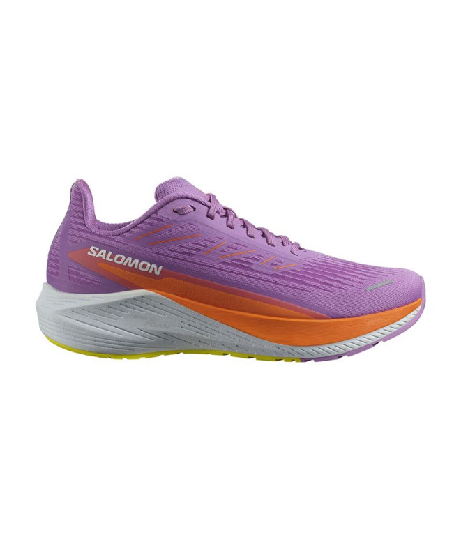 Zapatillas Salomon Alphacross 5 Gtx...