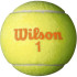 Pelotas de Tenis Wilson Starter Orange Tball 3 Pack Amarillo