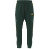 Pantalones adidas Tiro Cb_Np Hombre Verde Oscuro