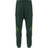 Pantalones adidas Tiro Cb_Np Hombre Verde Oscuro