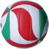Balón de Voleibol Molten V5M1300