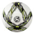 Balón de fútbol Zastor Striker