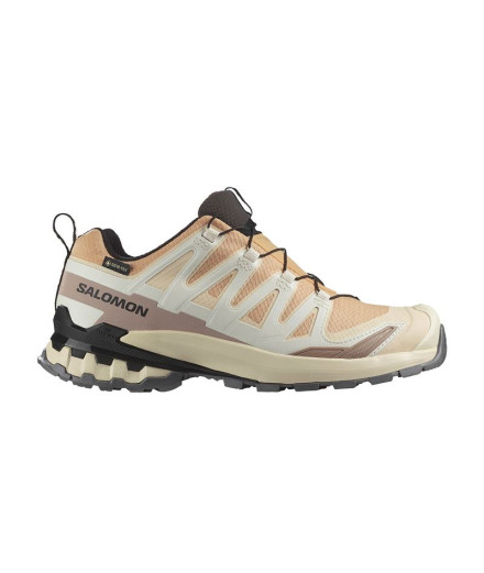Zapatillas de trail Salomon Bajo XA Pro 3 V9 GTX Beige