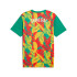 Camiseta de Fútbol Puma Senegal Prematch Ss Hombre Verde