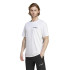 Camiseta de Montaña adidas Terrex Graphic Hombre Blanco