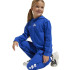 Sudadera adidas Lk Sl Fl Hd Infantil Azul/Blanco