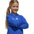 Sudadera adidas Lk Sl Fl Hd Infantil Azul/Blanco