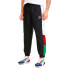 Pantalones Sportswear Puma TFS OG Track