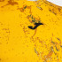Camiseta De Trail Joma R-Trail Nature Naranja Hombre