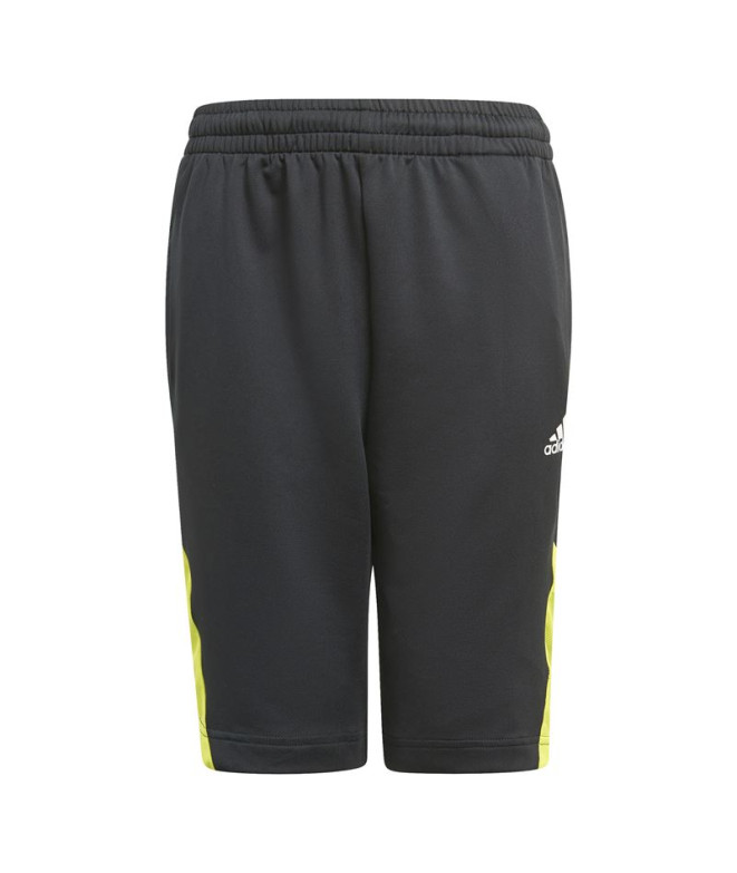 Pantalones de Trainning adidas Predator Inspired
