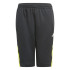 Pantalones de Trainning adidas Predator Inspired