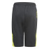 Pantalones de Trainning adidas Predator Inspired