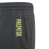 Pantalones de Trainning adidas Predator Inspired