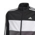 Chándal de Training adidas Boys Essentials Tiberio