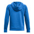 Sudadera de Training Under Armour Rival Big Logo