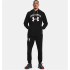 Sudadera de Trainning Under Armour Rival Terry Big Logo