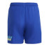 Bañador adidas Lineage