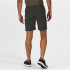 Pantalones de Trekking Regatta Highton