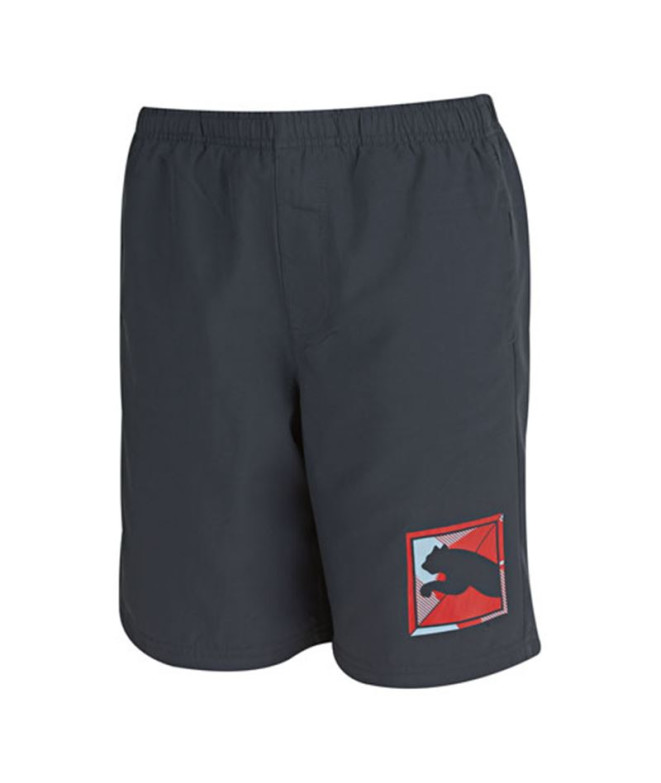 Pantalones Sportswear Puma TD Woven