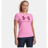 Camiseta de Trainning Under Armour Graphic P