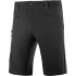 Pantalones de montaña Salomon Wayfarer