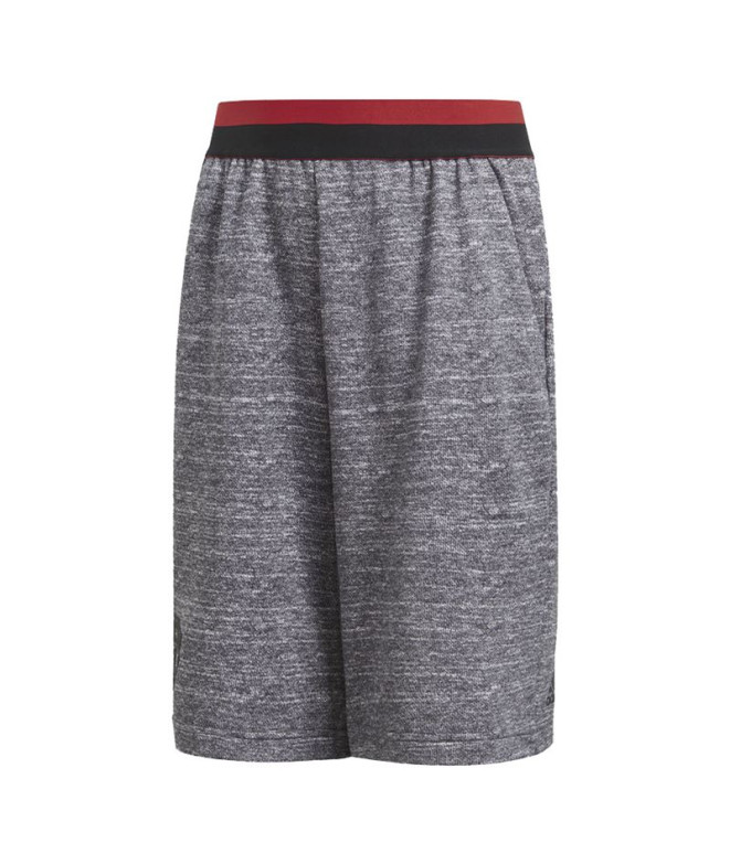Pantalón Corto adidas Manchester United Gris