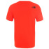 Camiseta de Montaña The North Face Fine Hombre