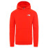 Sudadera The North Face Raglan Red Box rojo Hombre