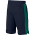Pantalones Sportswear Nike Air Short FT