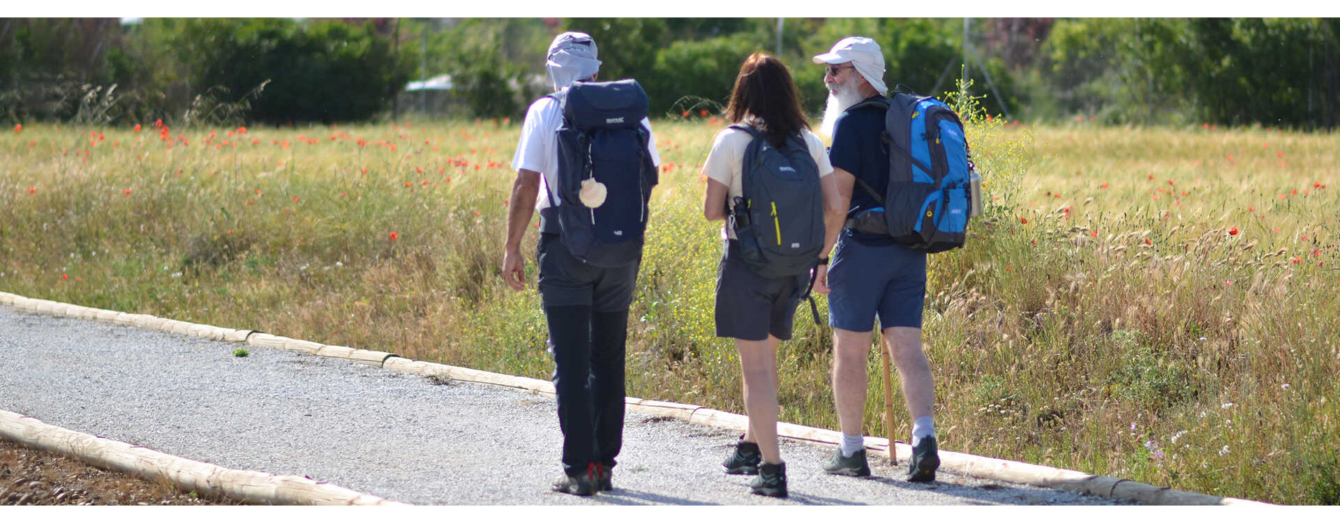 Camino de Santiago para principiantes Camino de Santiago para principiantes